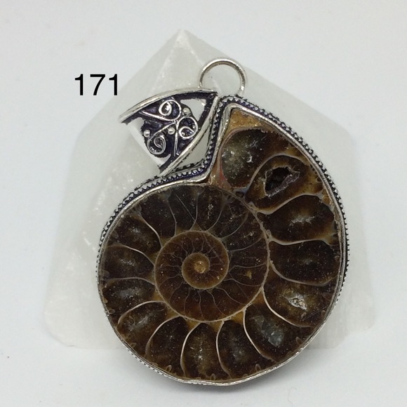 Ammonite Fossil Pendant - Picture 1 of 4